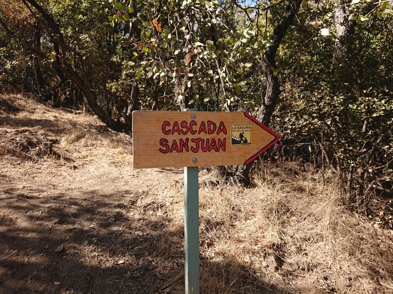 WhatsApp Image 2019-04-17 at 18.14.46.jpeg WhatsApp Image 2019-04-17 at 18.14.46.jpeg