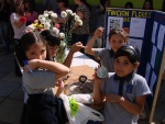 DSC00144.jpg