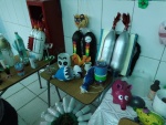 DSC02486.JPG