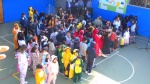 DSC01311.jpg